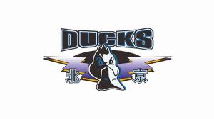 媒體人：北京不再受限于曾凡博是否回歸 將根據(jù)戰(zhàn)術(shù)需要選第3外援