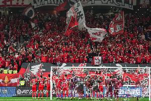 馬德興：海港球迷很少高調(diào)只默默跟隨，沒招惹任何一方更不樹敵