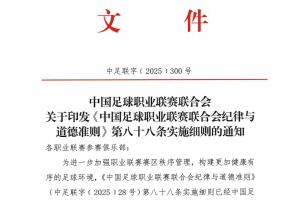 中足聯(lián)發(fā)紀(jì)律細(xì)則：賽區(qū)球隊(duì)對觀眾行為負(fù)責(zé)，多類不當(dāng)行為從重罰